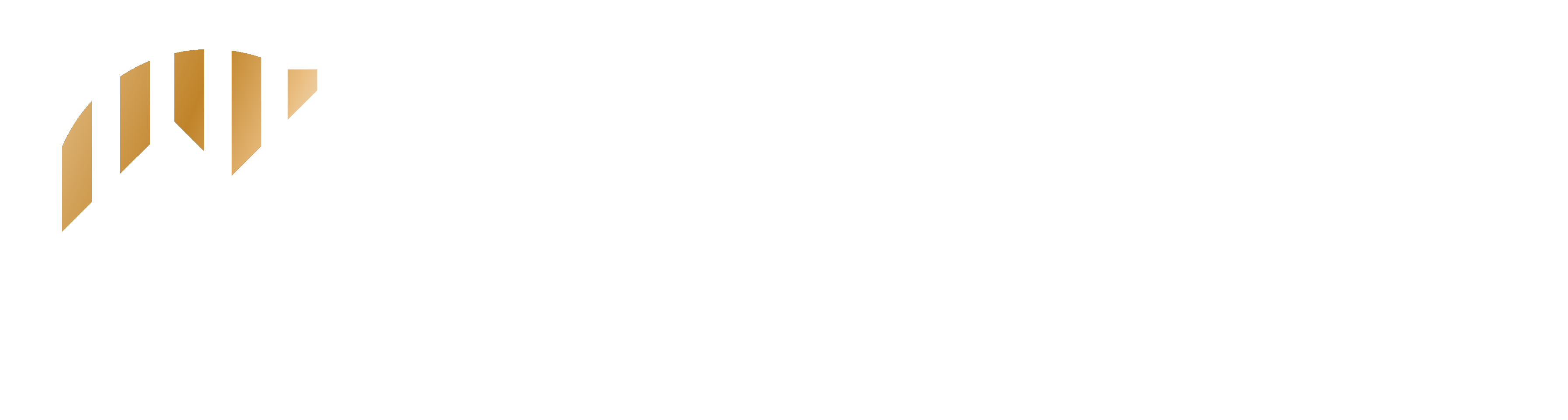 VISEN GROUP